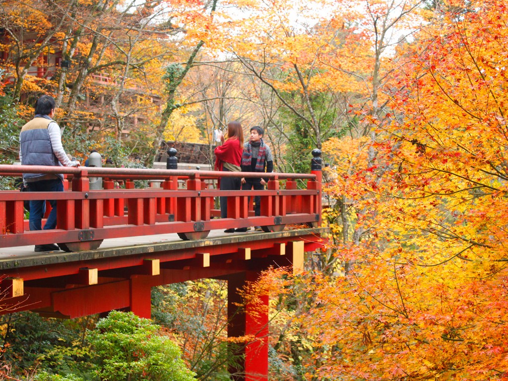 石川県小松市の紅葉スポット 那谷寺 で今紅葉が見頃です 一里野高原ホテルろあんスタッフブログ