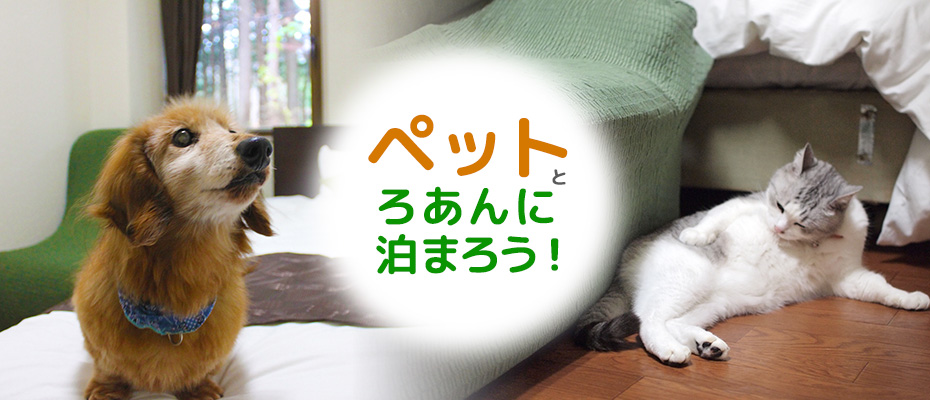 石川県金沢 白川郷近郊で犬 猫と一緒に泊まれるホテル ペット同宿部屋 あります 一里野高原ホテルろあんスタッフブログ