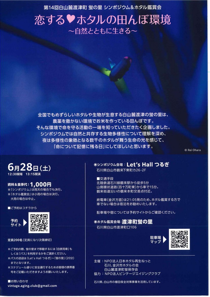20250514175250264_0001