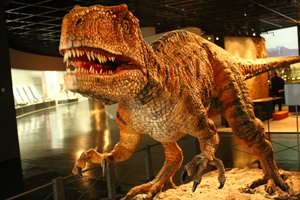 ホテルを恐竜博物館へ行く際に利用するなら～家族での旅行におすすめ～