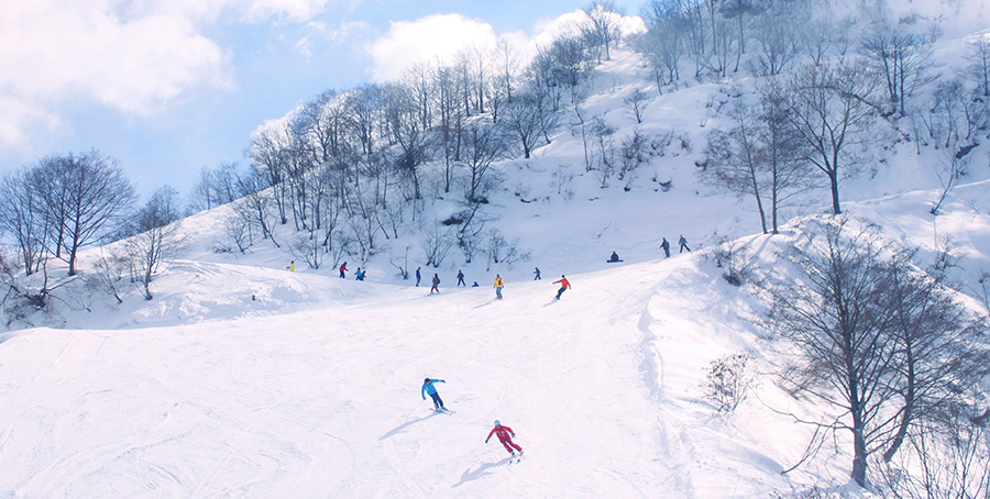 一里野温泉スキー場ゲレンデ滑走コース